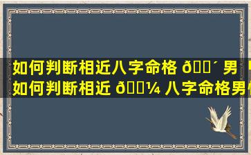 如何判断相近八字命格 🌴 男「如何判断相近 🌼 八字命格男性」